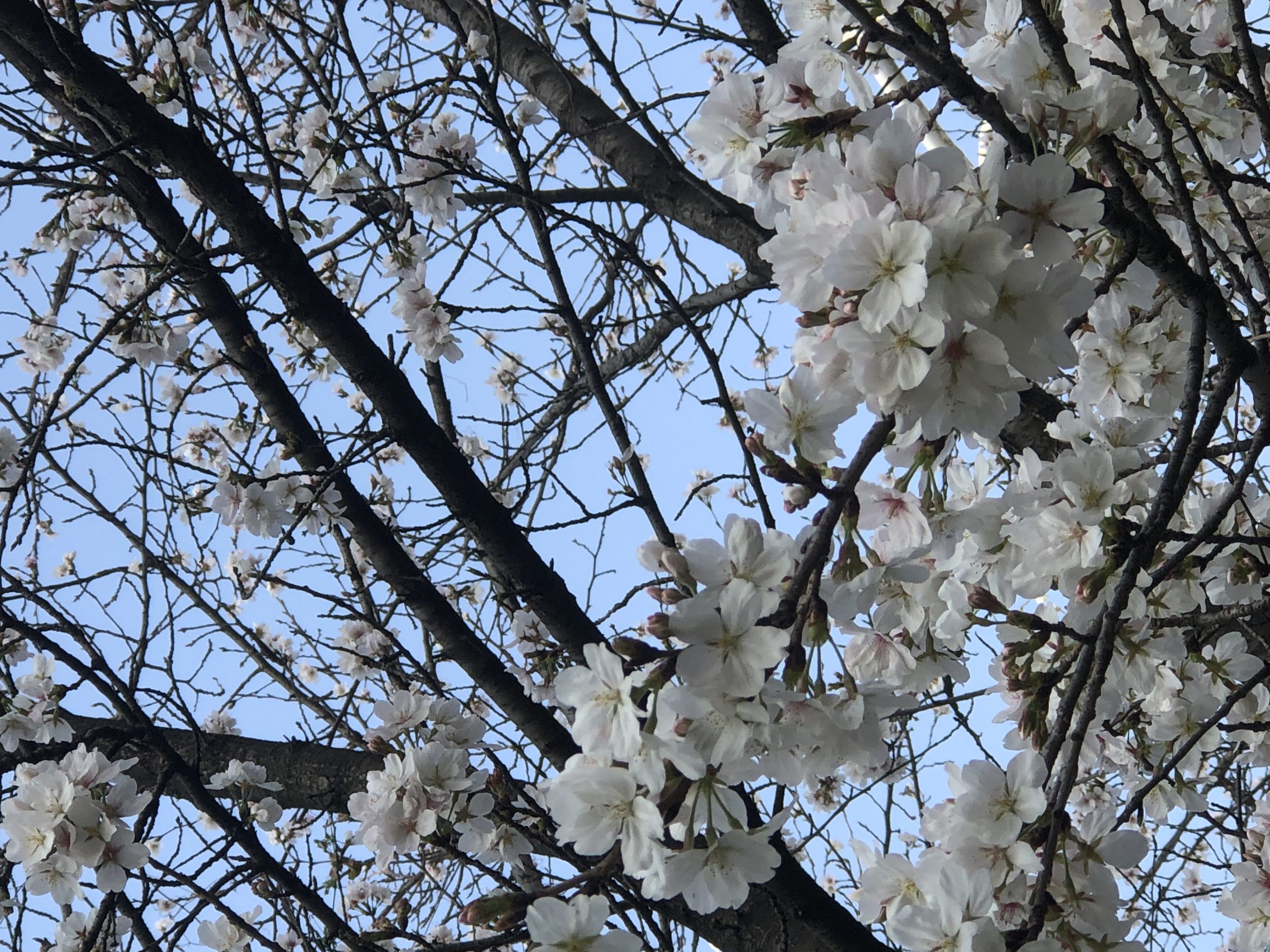 澳门十大娱乐网站平台