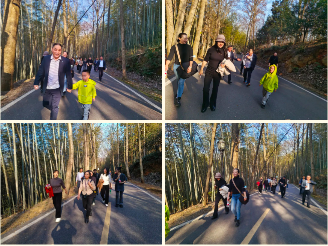 澳门十大娱乐网站平台